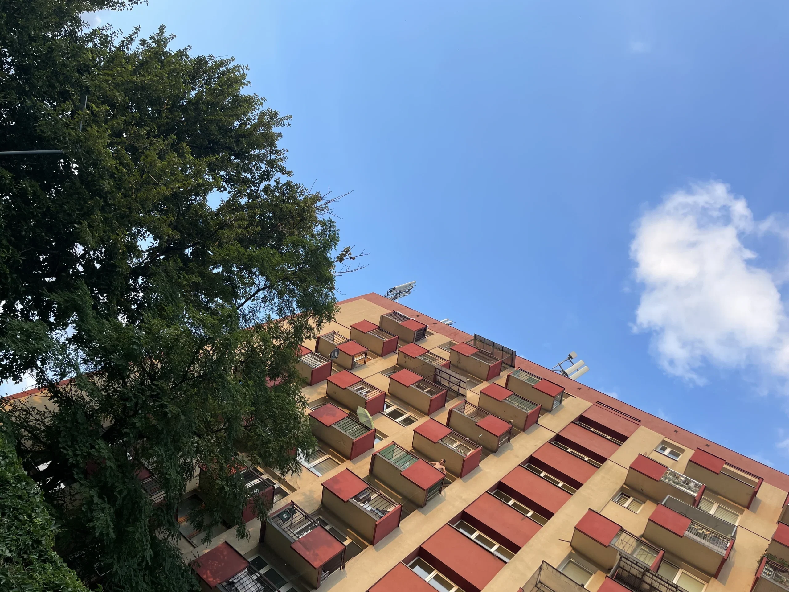 Польский язык