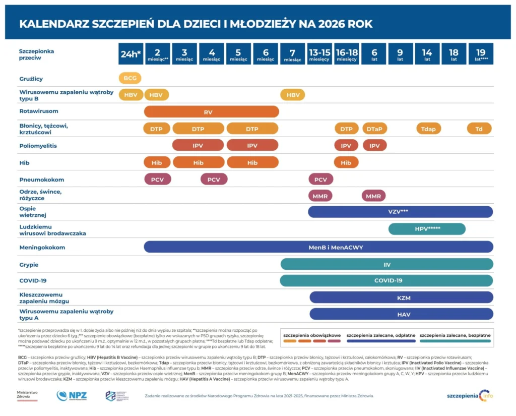 2.-KALENDARZ-SZCZEPIEN-DLA-DZIECI-I-MLODZIEZY-NA-2026-ROK-1-2048x1650-1-1024x825 Календарь прививок в Польше на 2026 год